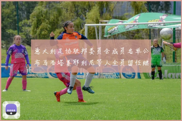 意大利足协联邦委员会成员名单公布马洛塔基耶利尼等人全员留任继续服务